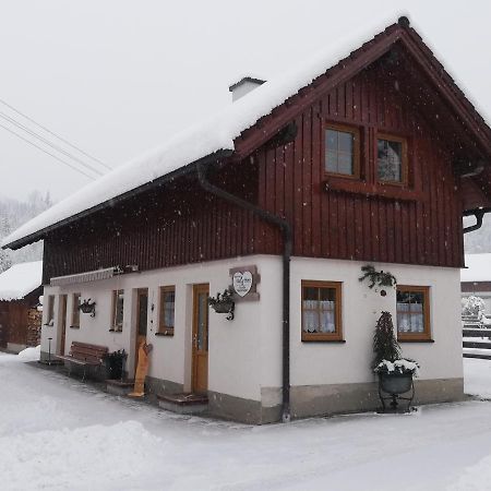 Apartment Natur Herz Haus im Ennstal Exterior photo