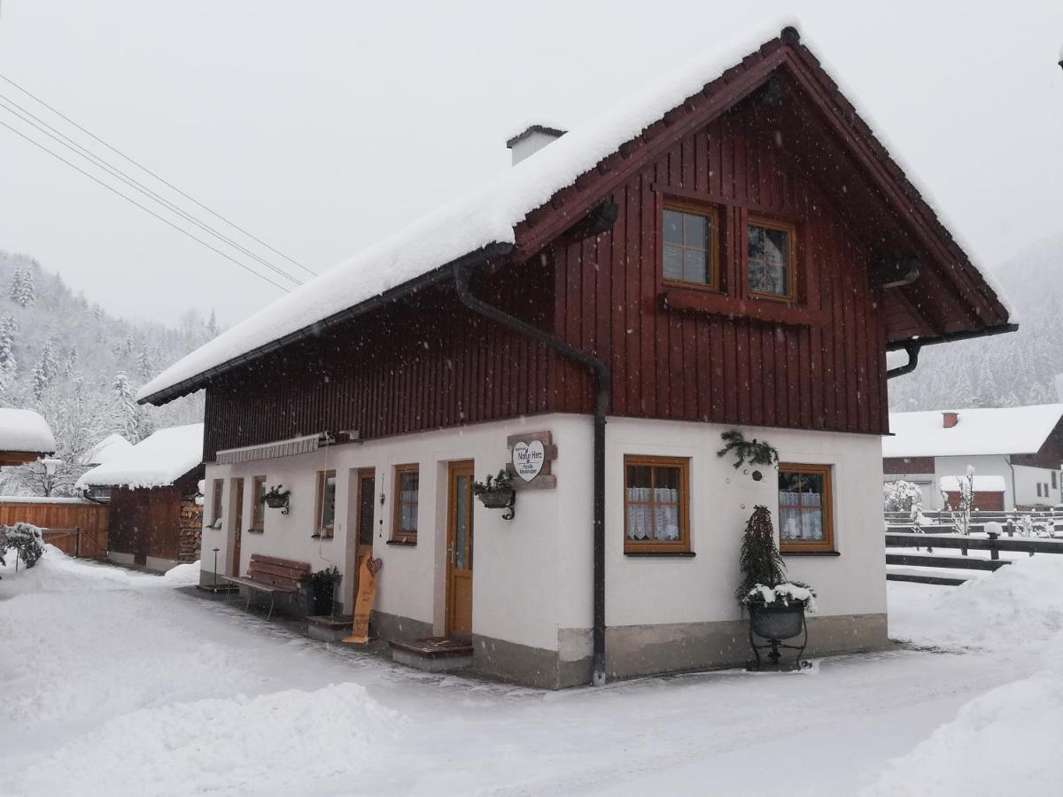 Apartment Natur Herz Haus im Ennstal Exterior photo